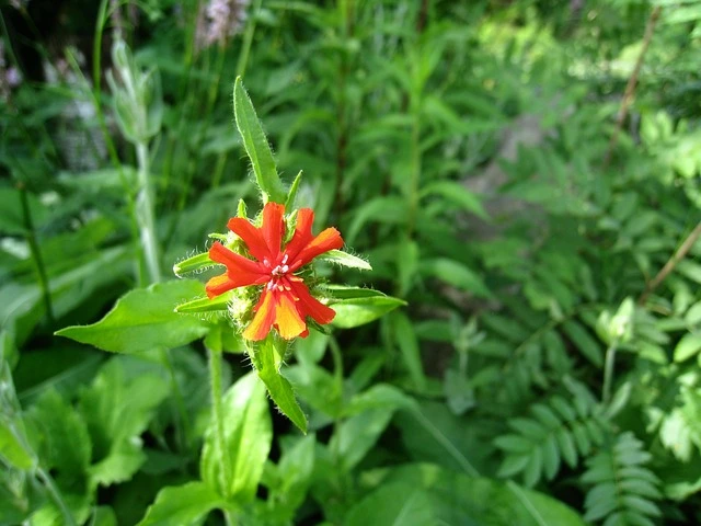 8 gode gaveideer til hende der bliver student og fortjener lidt ekstra luksus